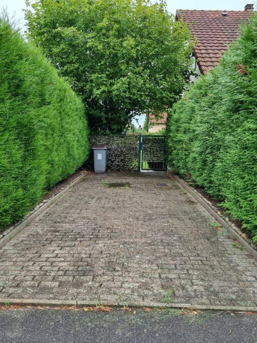Gemuetliche Oase - Geraeumige Unterkunft Sarreguemines Buitenkant foto