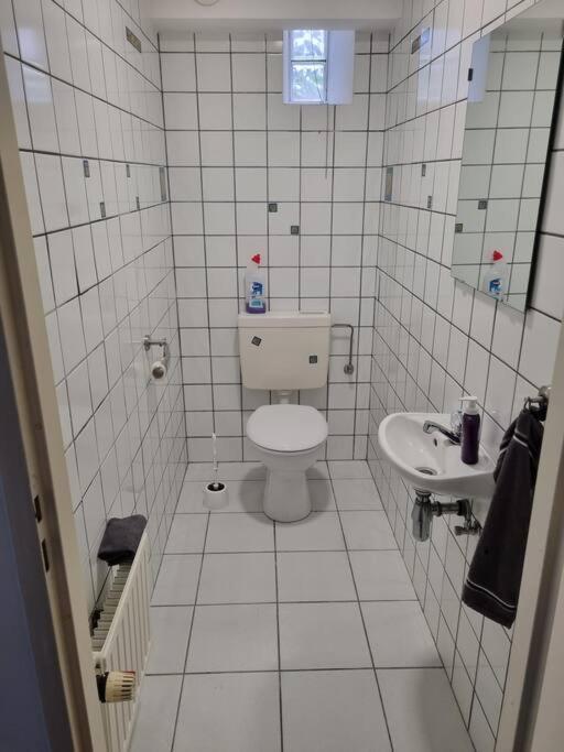 Gemuetliche Oase - Geraeumige Unterkunft Sarreguemines Buitenkant foto